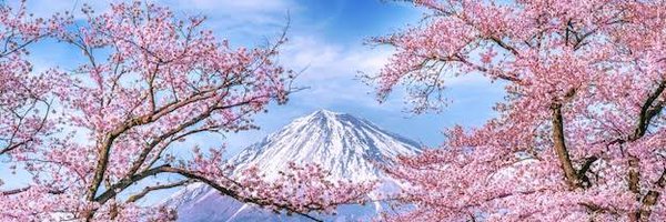 sakurao_3rd Profile Banner