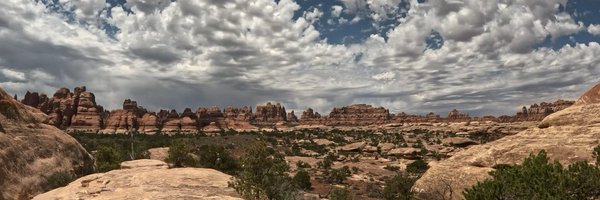JenRobichaux Profile Banner