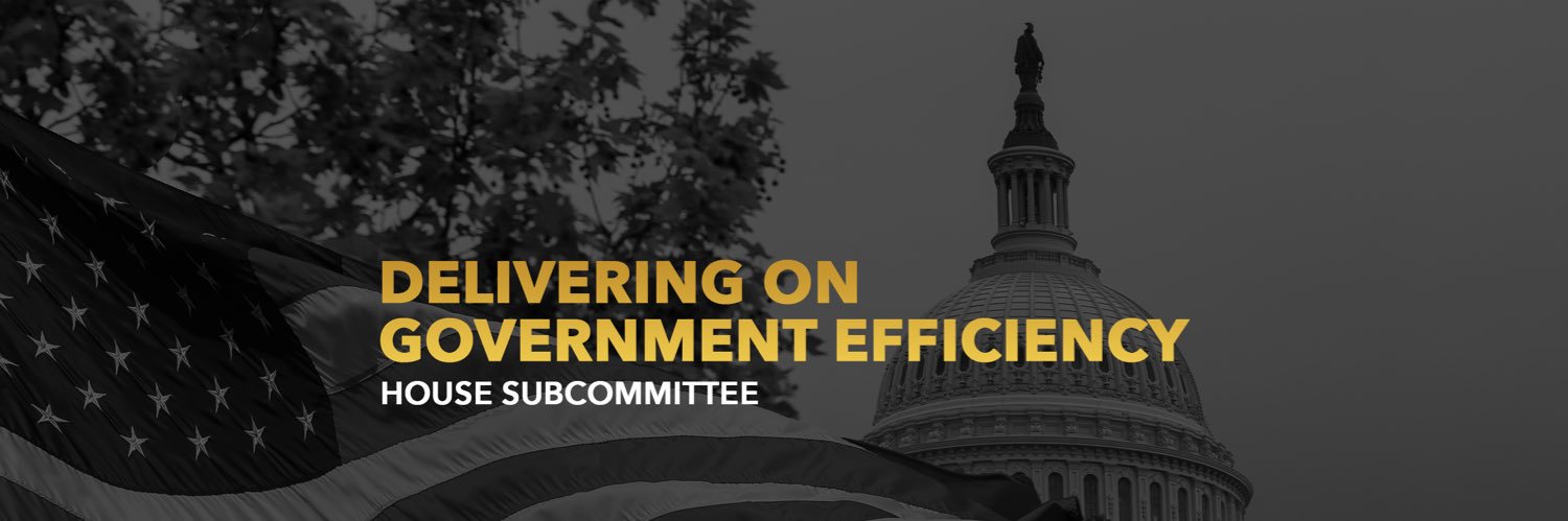 DOGE Subcommittee's banner