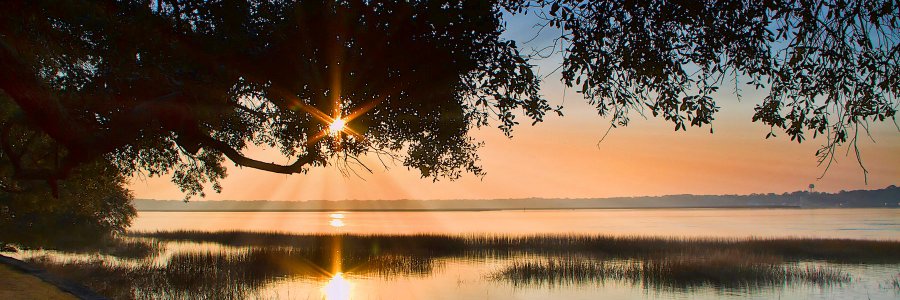 SideEyePanda's profile banner image