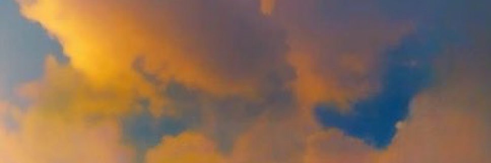 lemoniyon's profile banner image