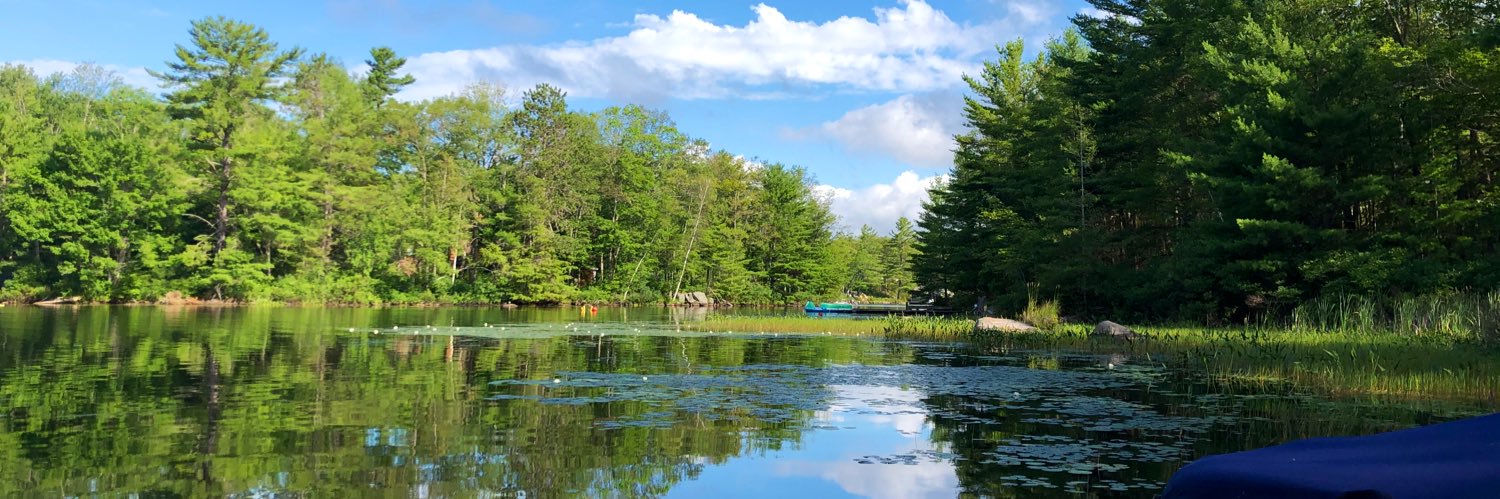 rana aluraibi banner