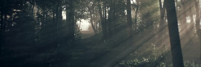 Tipicalistic's profile banner image