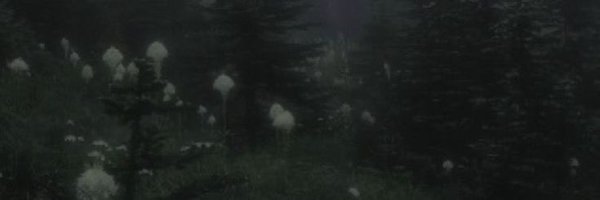 luckymal0ii Profile Banner