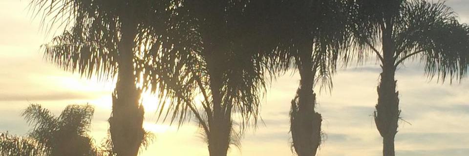 reneecw28's profile banner image
