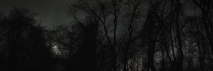 Aiola324390's profile banner image
