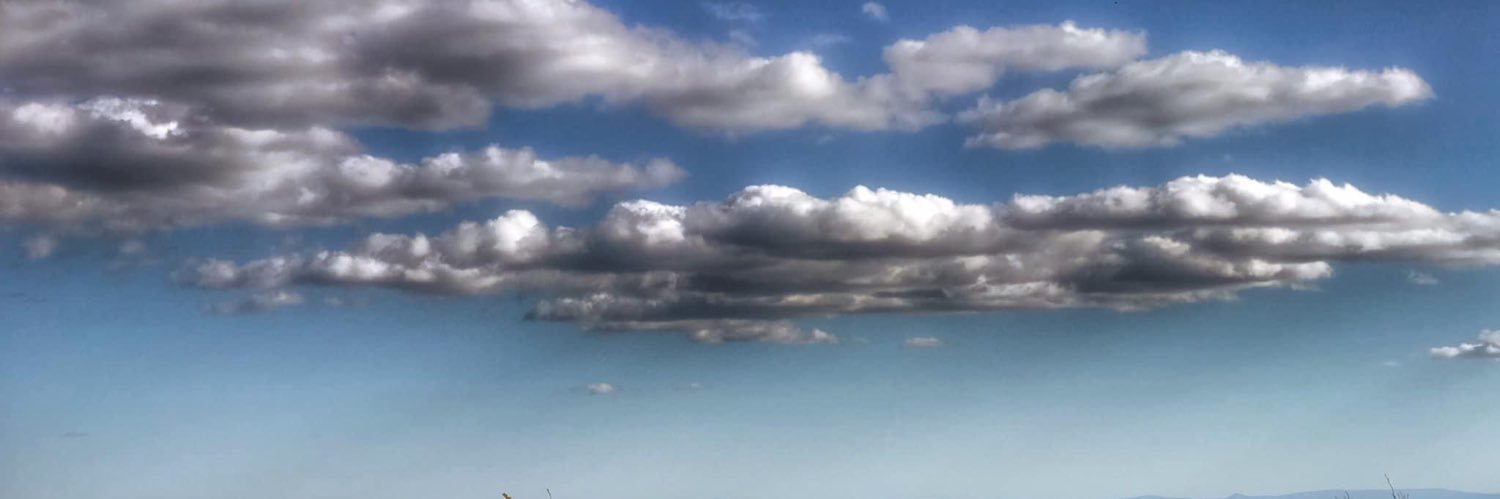 Becca Em Bloom banner