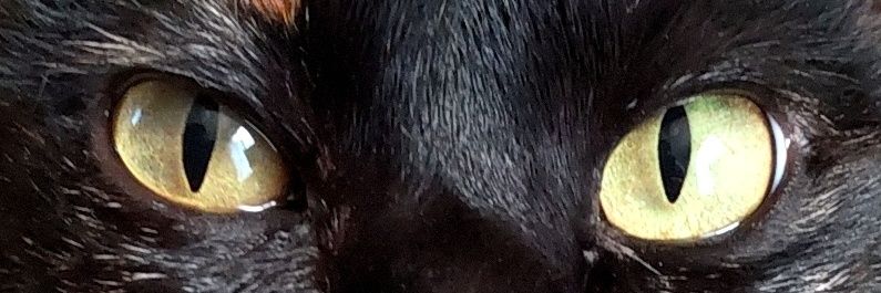 ama1m1p's profile banner image