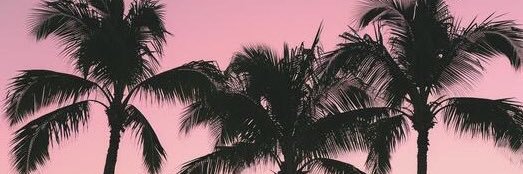 Cshespretty's profile banner image
