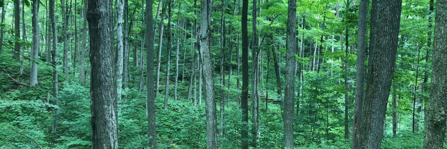 e_gardiner's profile banner image