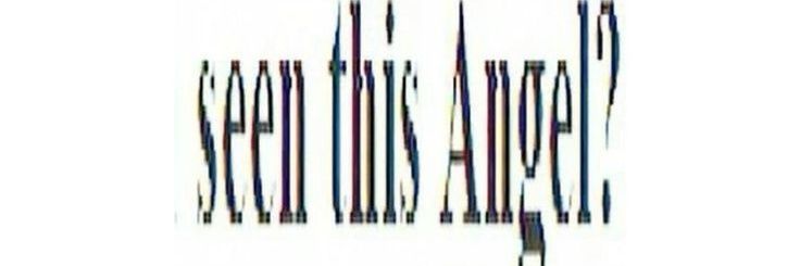 torta de leche banner