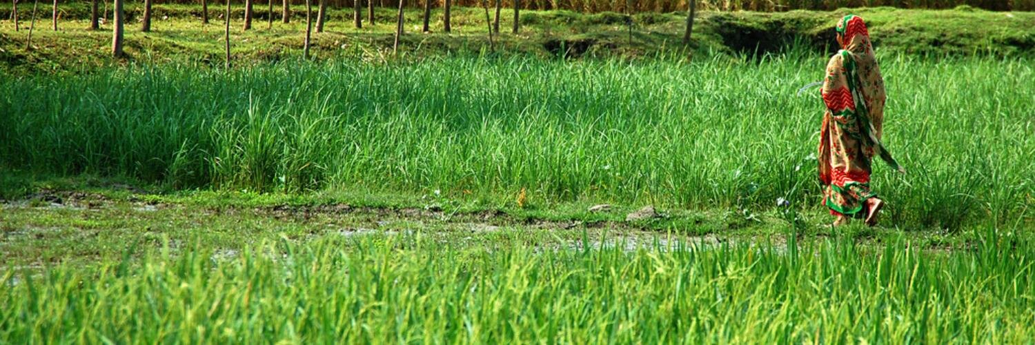 Evidence into Action banner