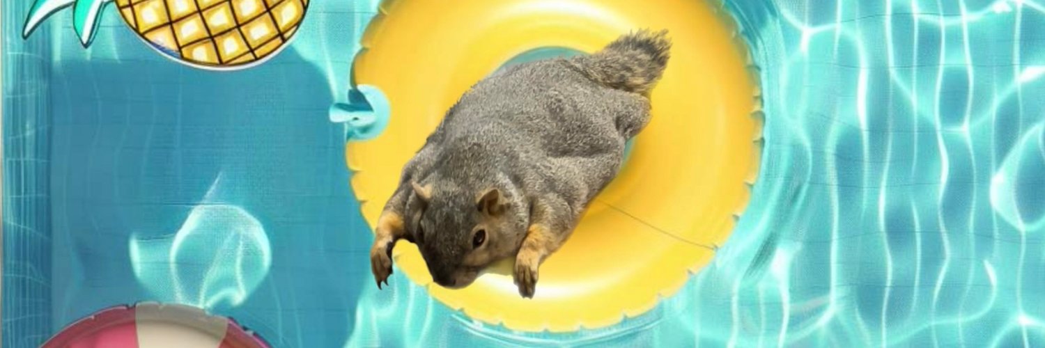 The Real Joey banner