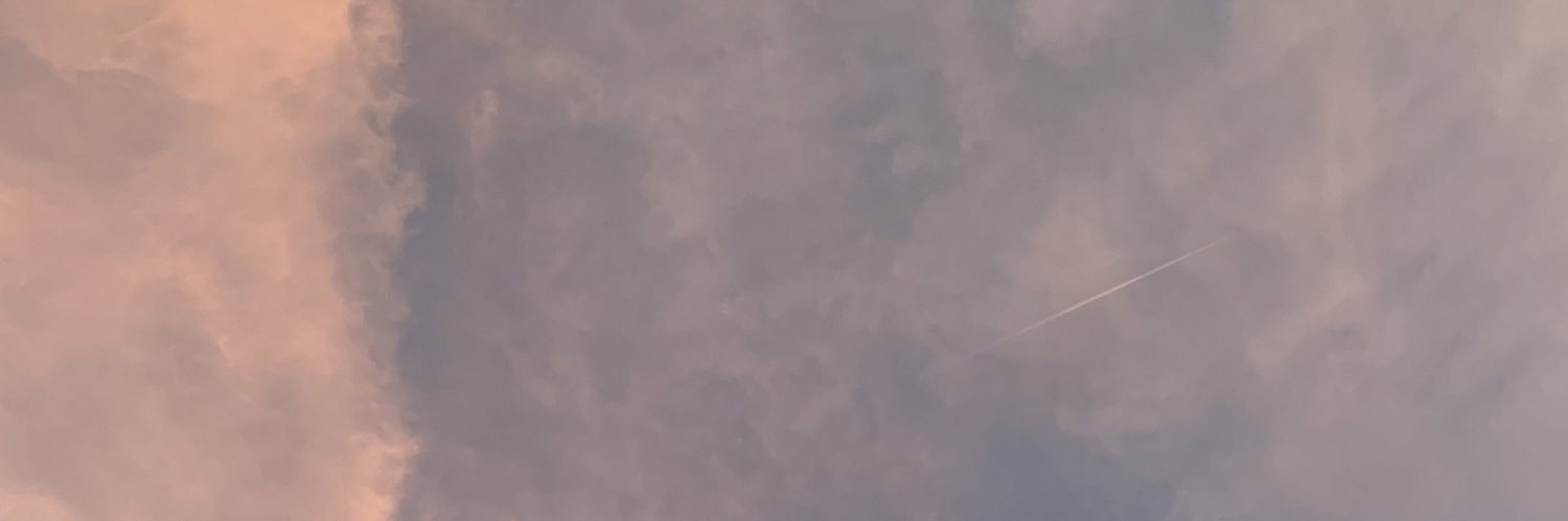 marle_wagner's profile banner image