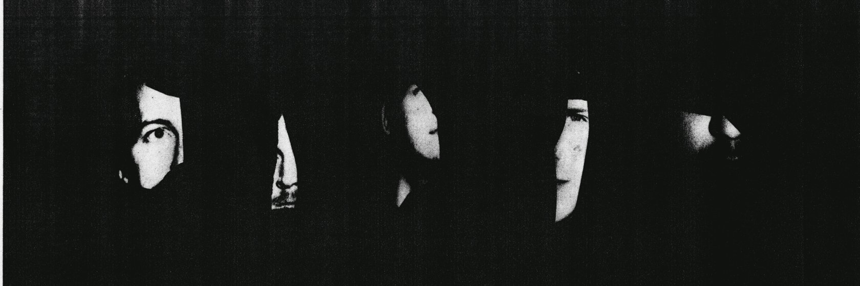 Hypochristmutreefuzz banner
