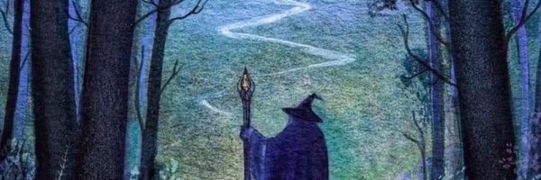 evilwizardbunny Profile Banner