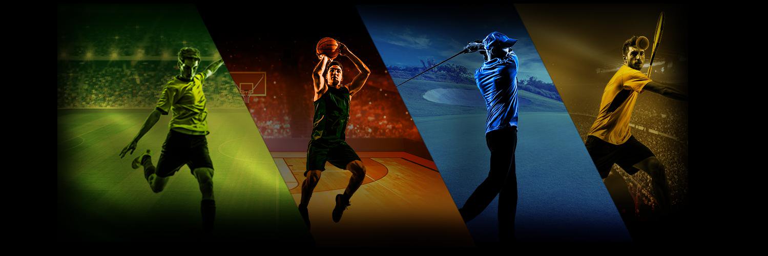 WingsofSports's profile banner image