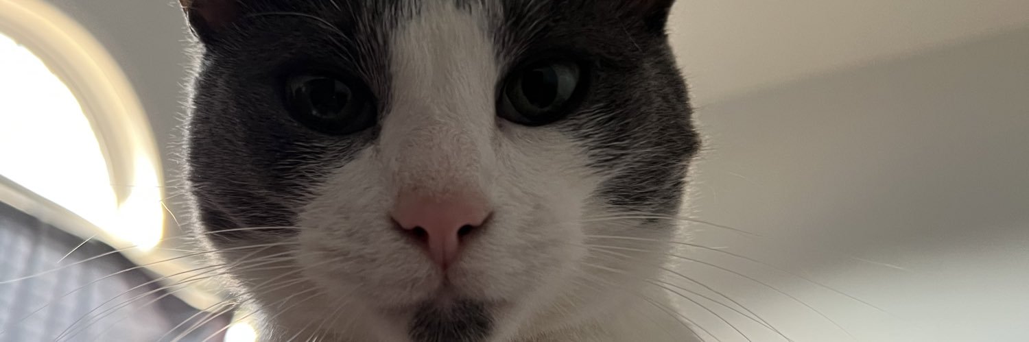 stephen_mims1's profile banner image