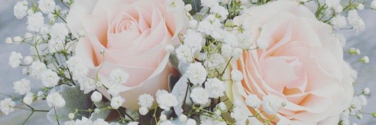sarahtrimble4's profile banner image