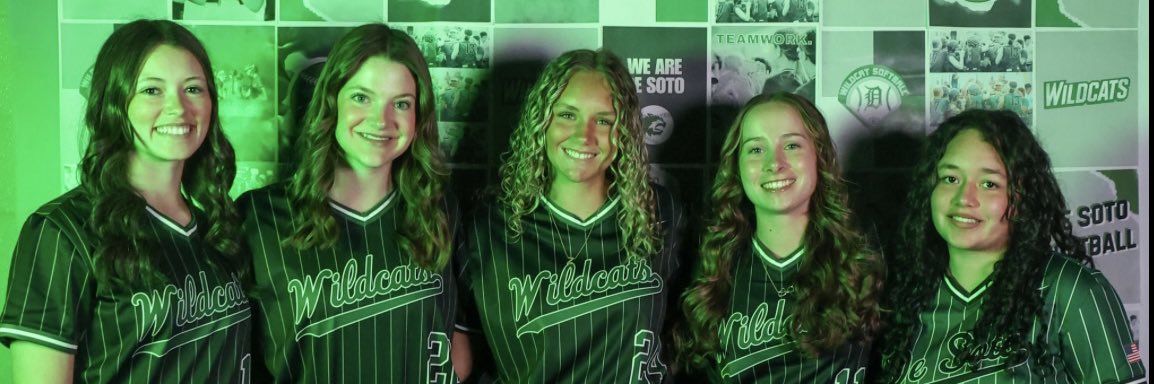 De Soto Softball banner