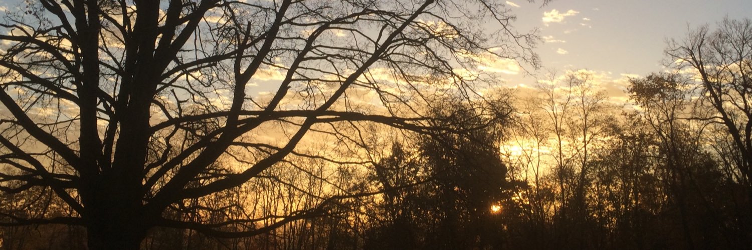 beth_cathcart's profile banner image
