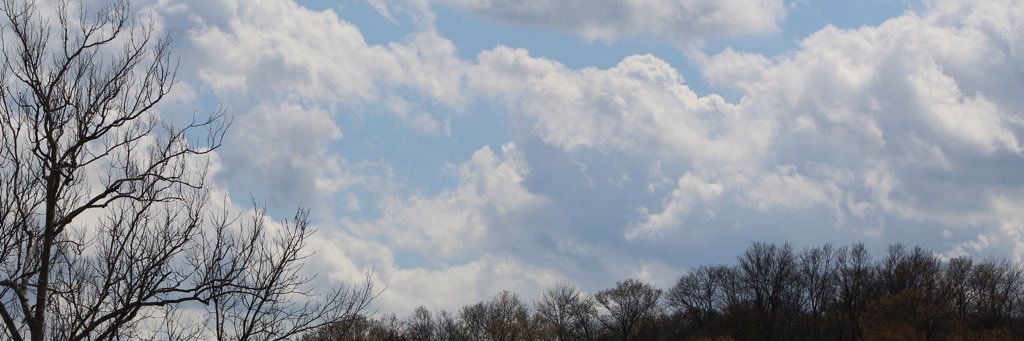 cytallison13's profile banner image