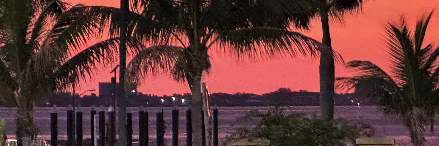 Spuncat231576's profile banner image