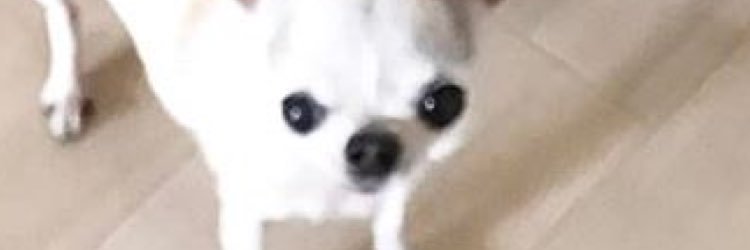 jamie_____w's profile banner image