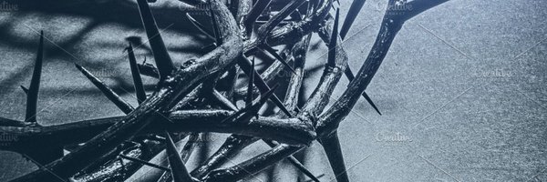 mattrychener Profile Banner