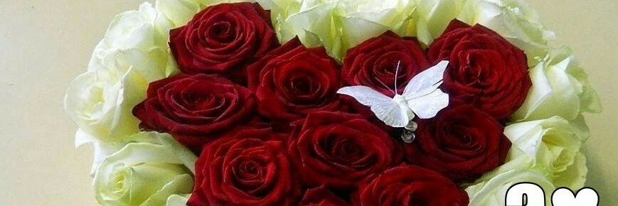 진정 사랑해~ banner