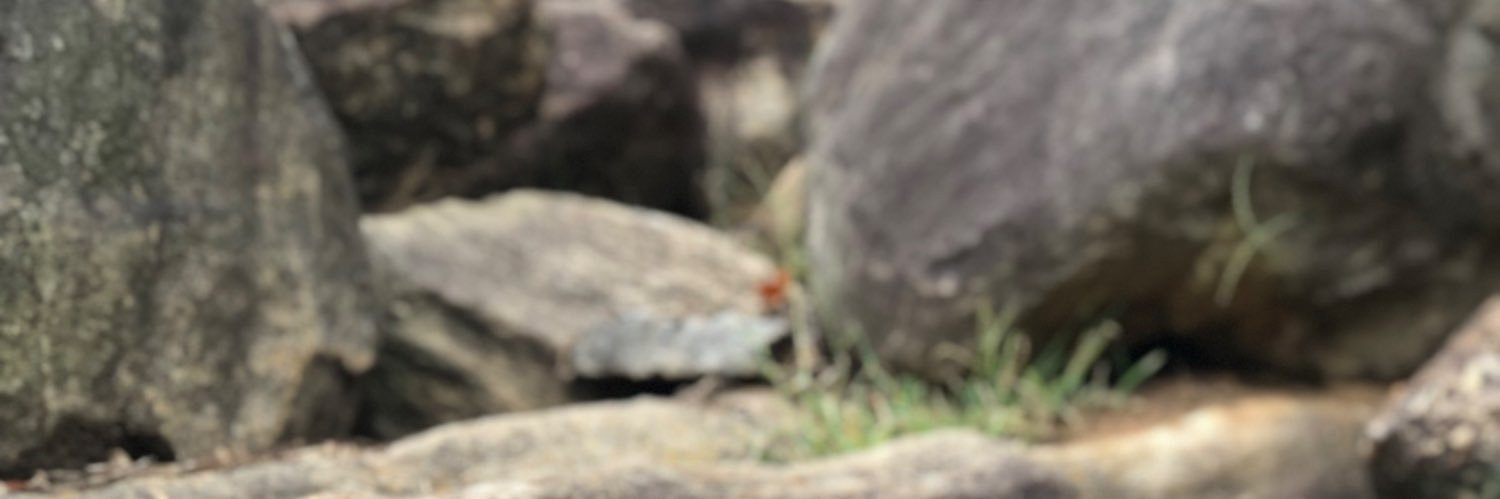 ProstateClinics's profile banner image