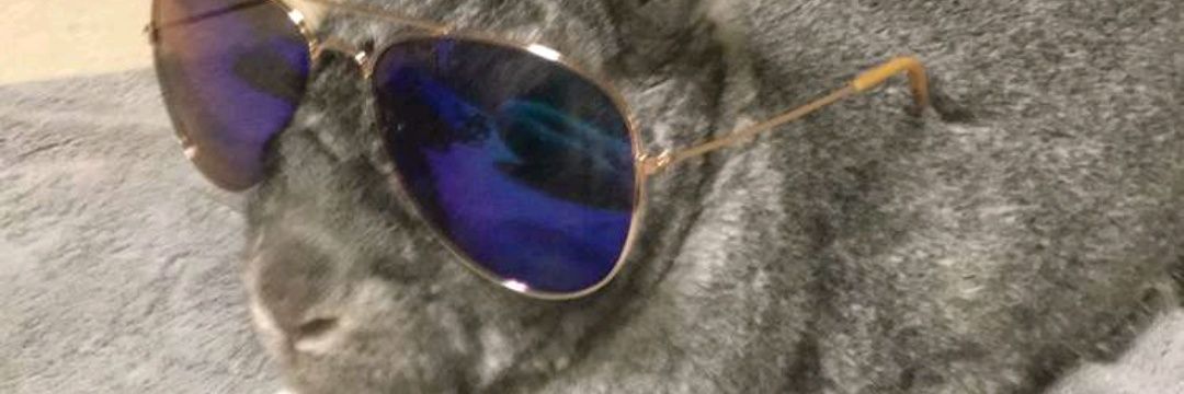 NattyLigma's profile banner image
