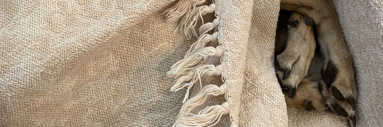 leojbasso's profile banner image