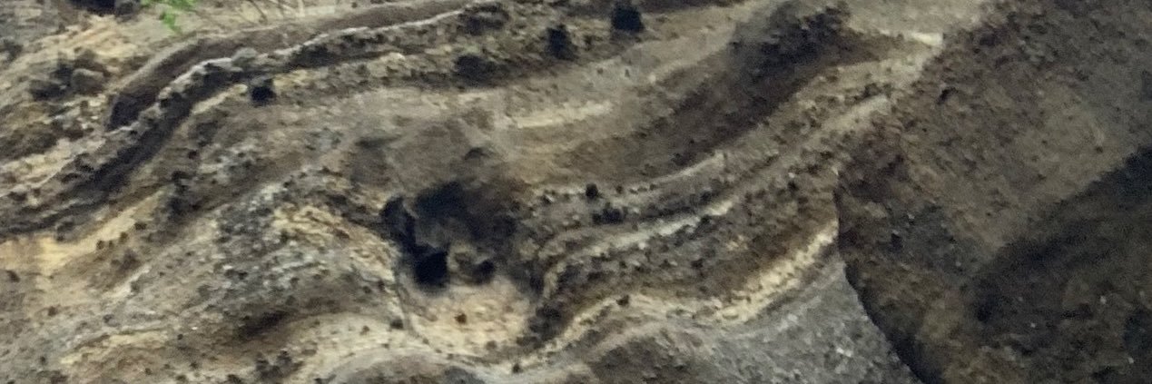 hemhays's profile banner image