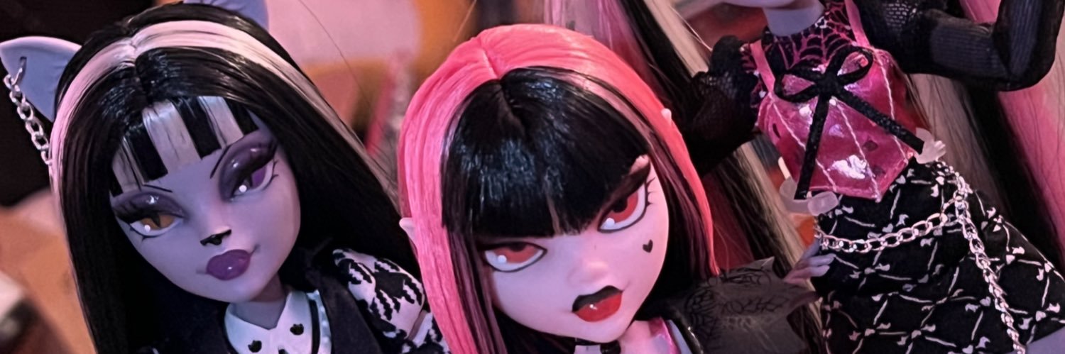 z's banner