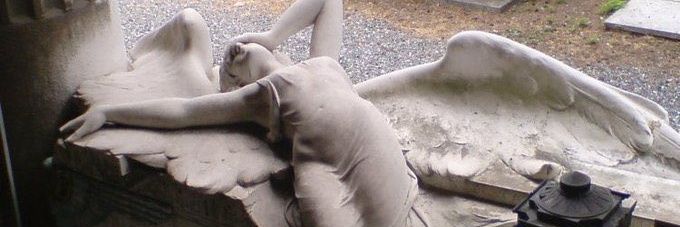 Daniel Petersen banner