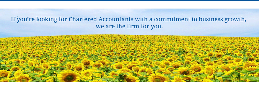 RajaniAndCo's profile banner image