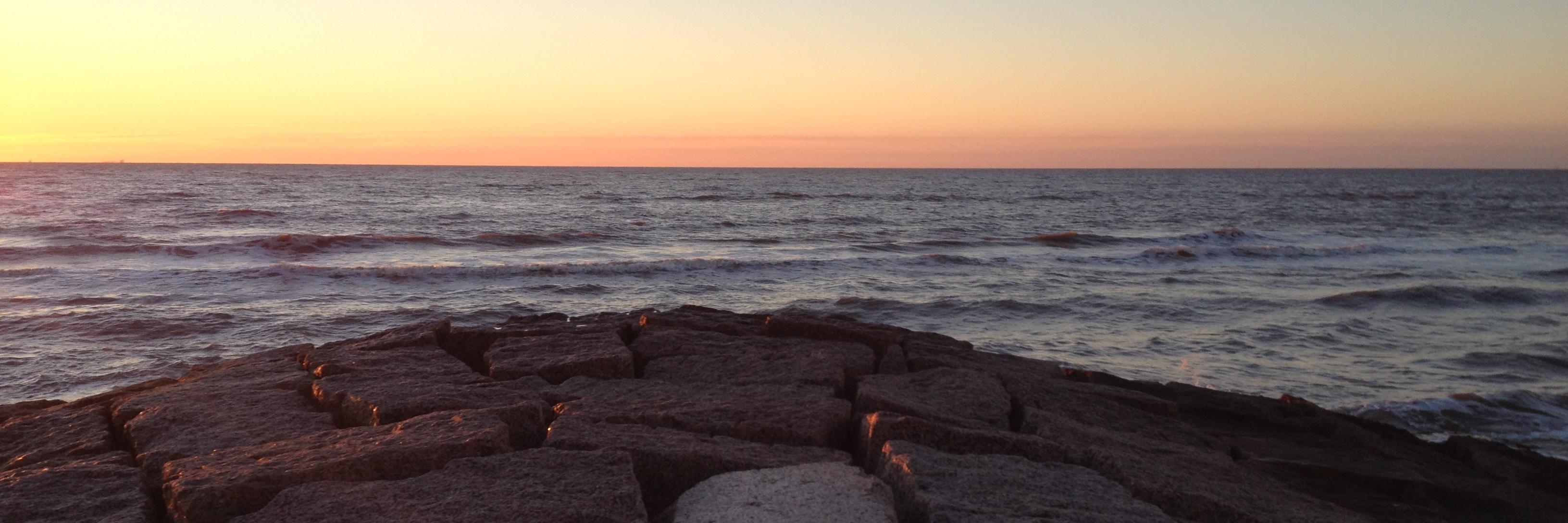 cathycpotter's profile banner image