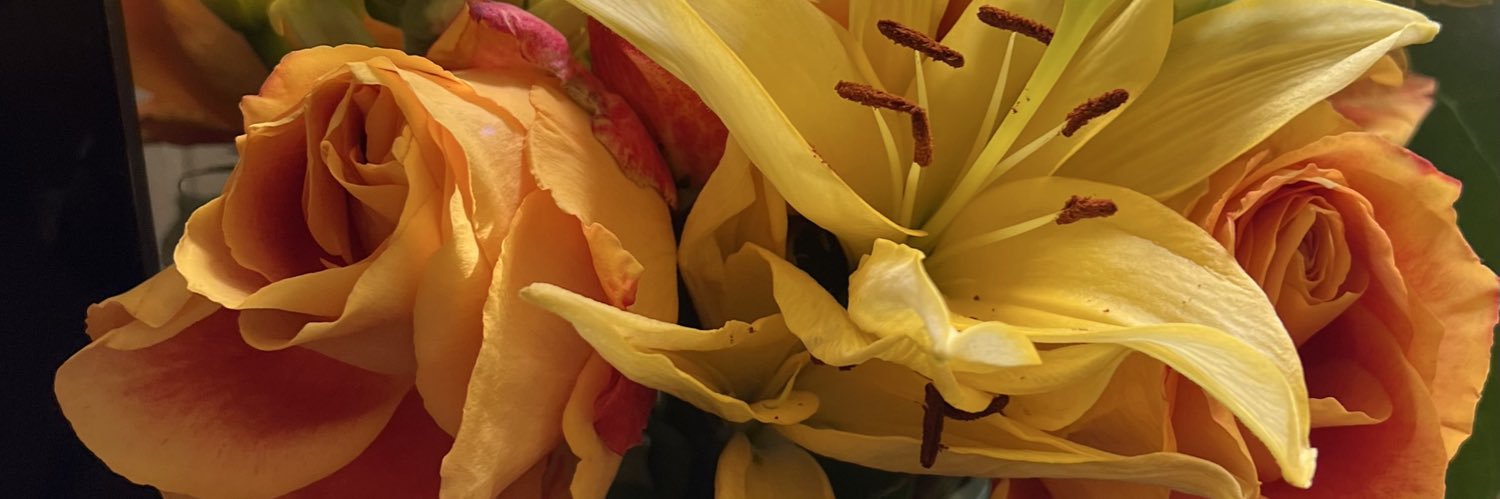 DoraEJones's profile banner image