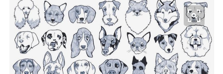 amysowerby's profile banner image