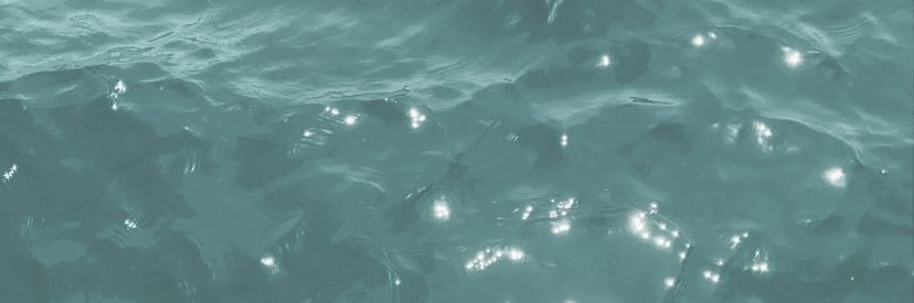 marionarabat's profile banner image