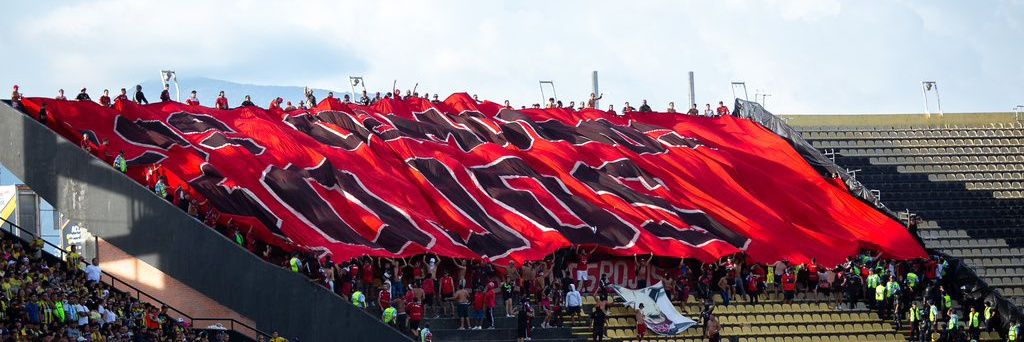 ale banner
