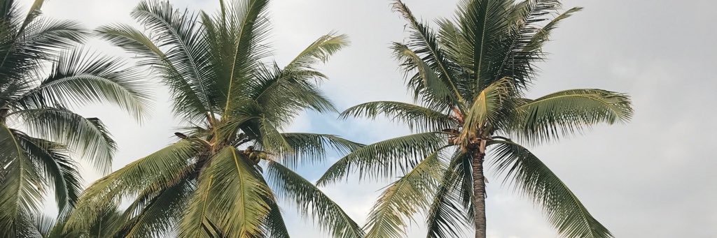 KimballReece's profile banner image