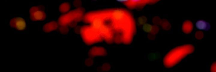 eduar39871's profile banner image