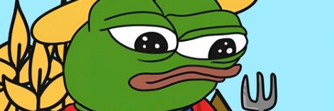 chopperdefi's profile banner image