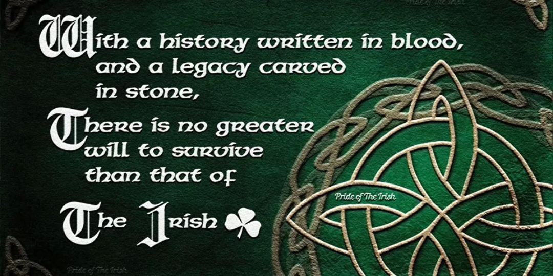 stephen minto banner