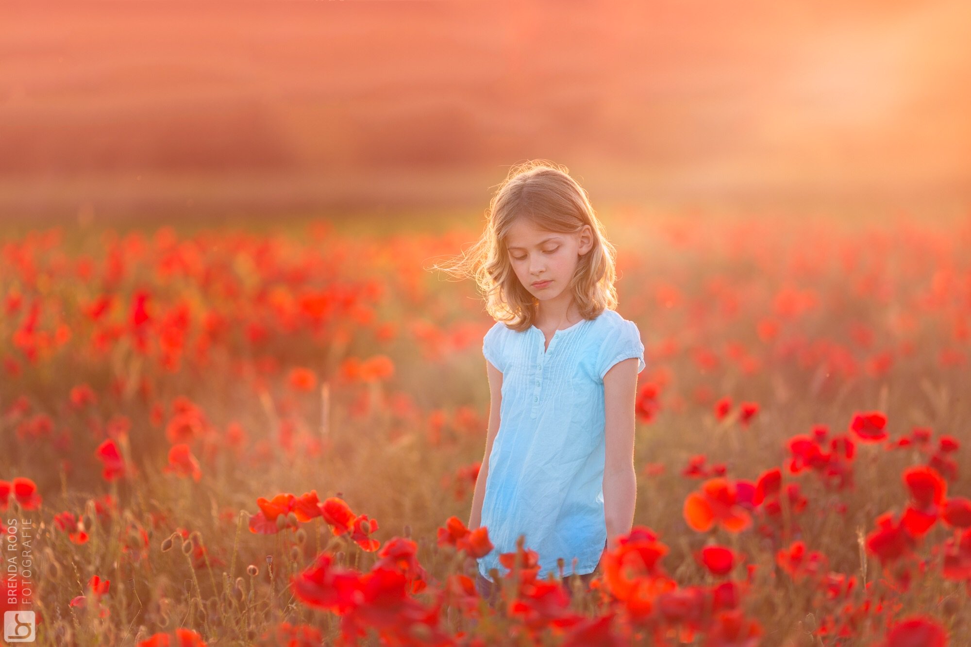 Brenda_Roos's profile banner image