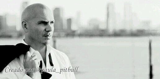 SpainPitbull's profile banner image