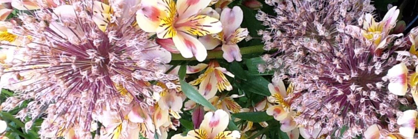 SilverSprings1B's profile banner image
