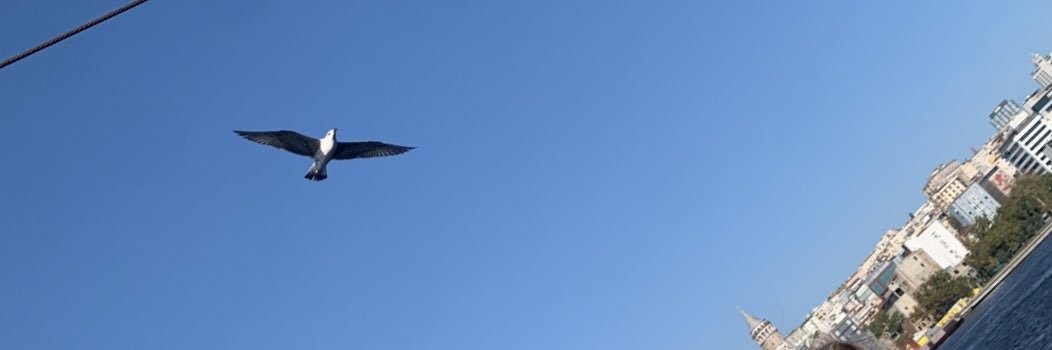 KbraKmrc's profile banner image